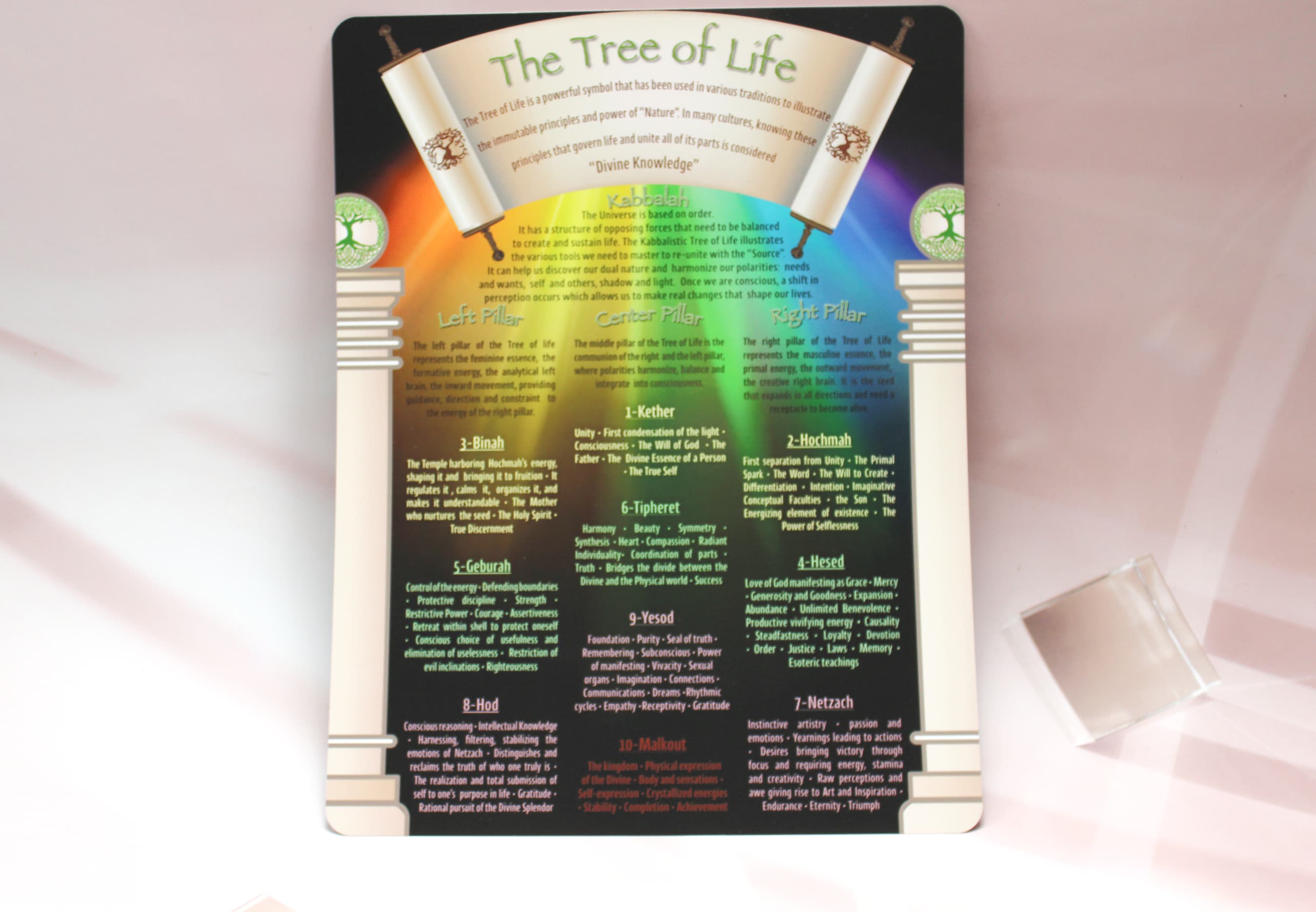 Tree of Life Information Chart