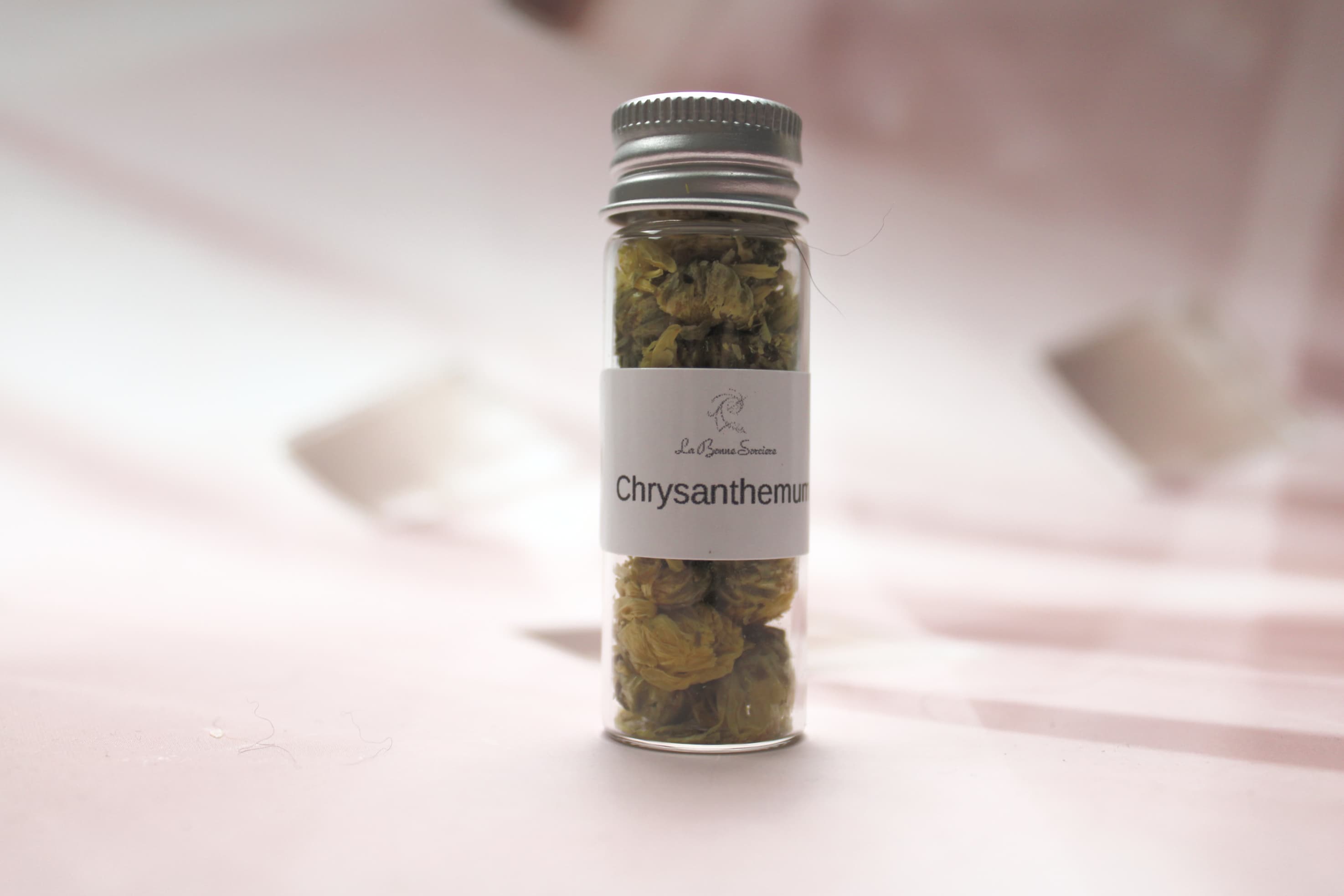 Chrysanthemum Flower Herb - Image 1