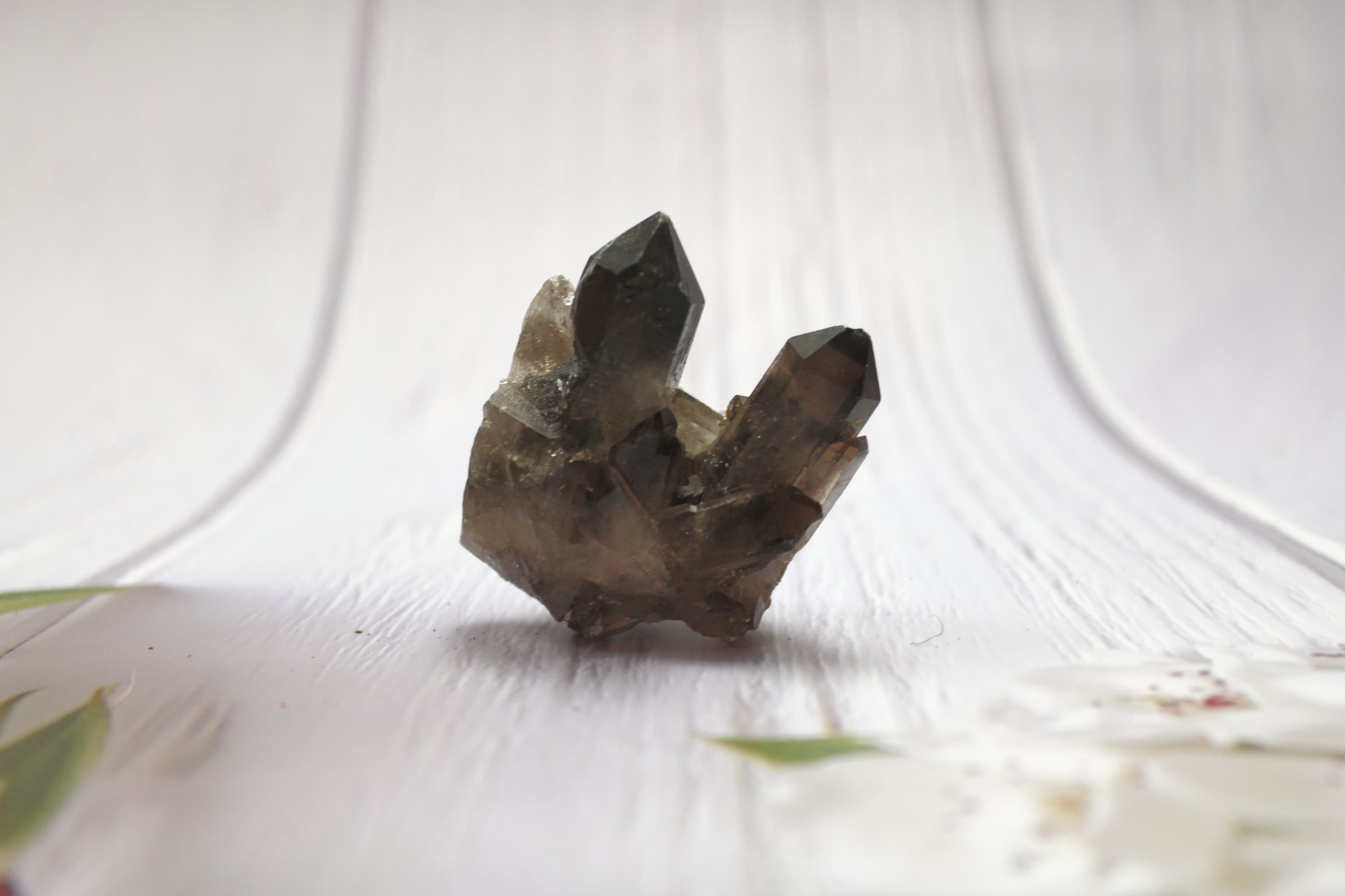 Smoky Quartz Points – Specimen C - Image 1