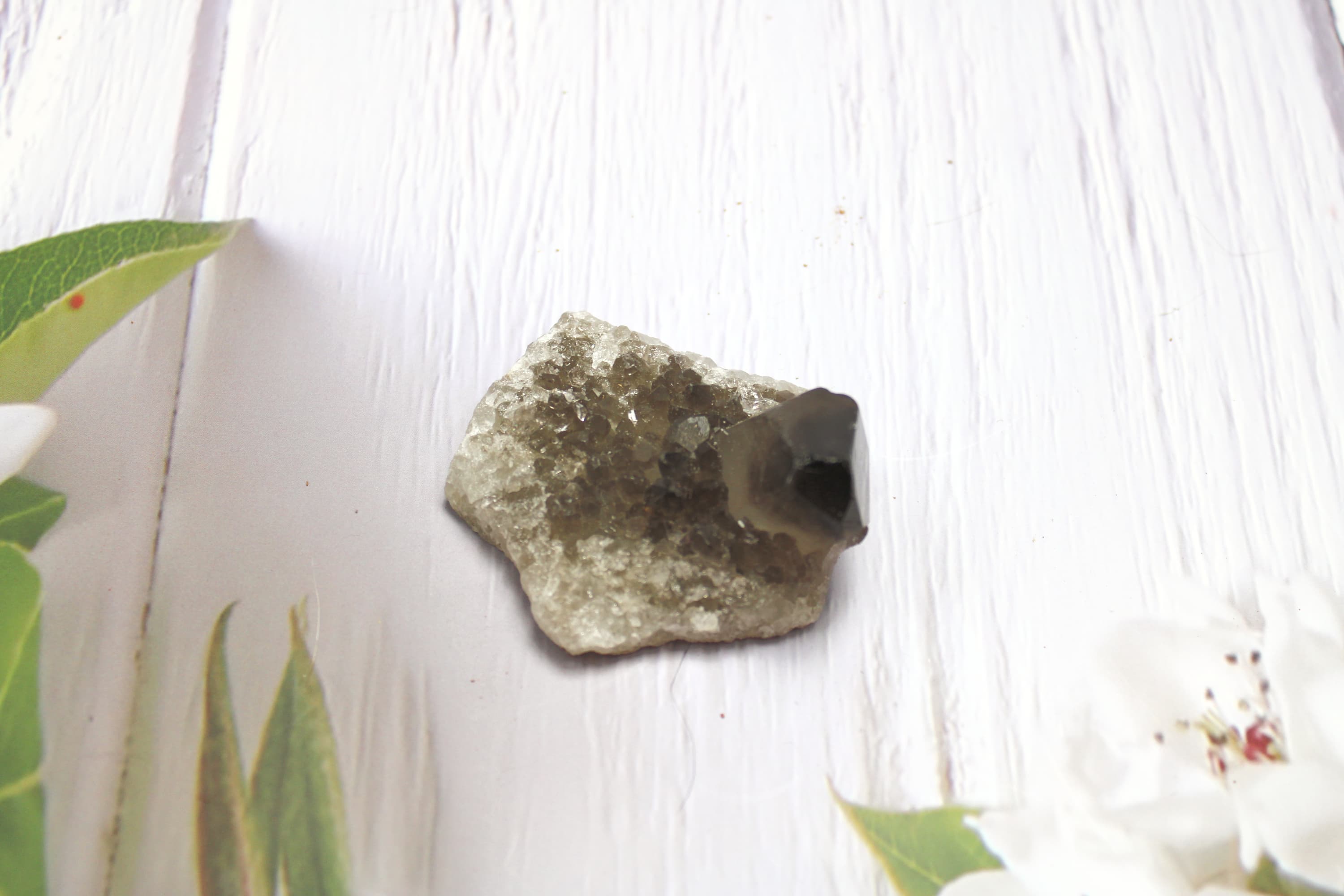 Smoky Quartz Points – Specimen E - Image 1
