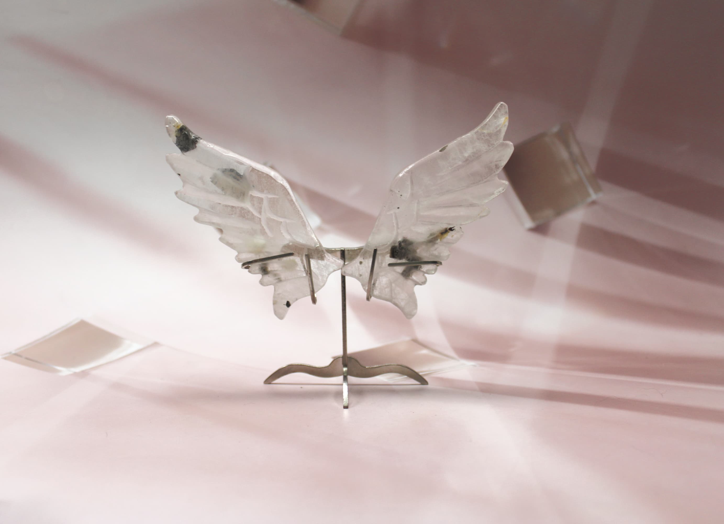 Medium Size Black Tourmaline in Quartz Angel Wings